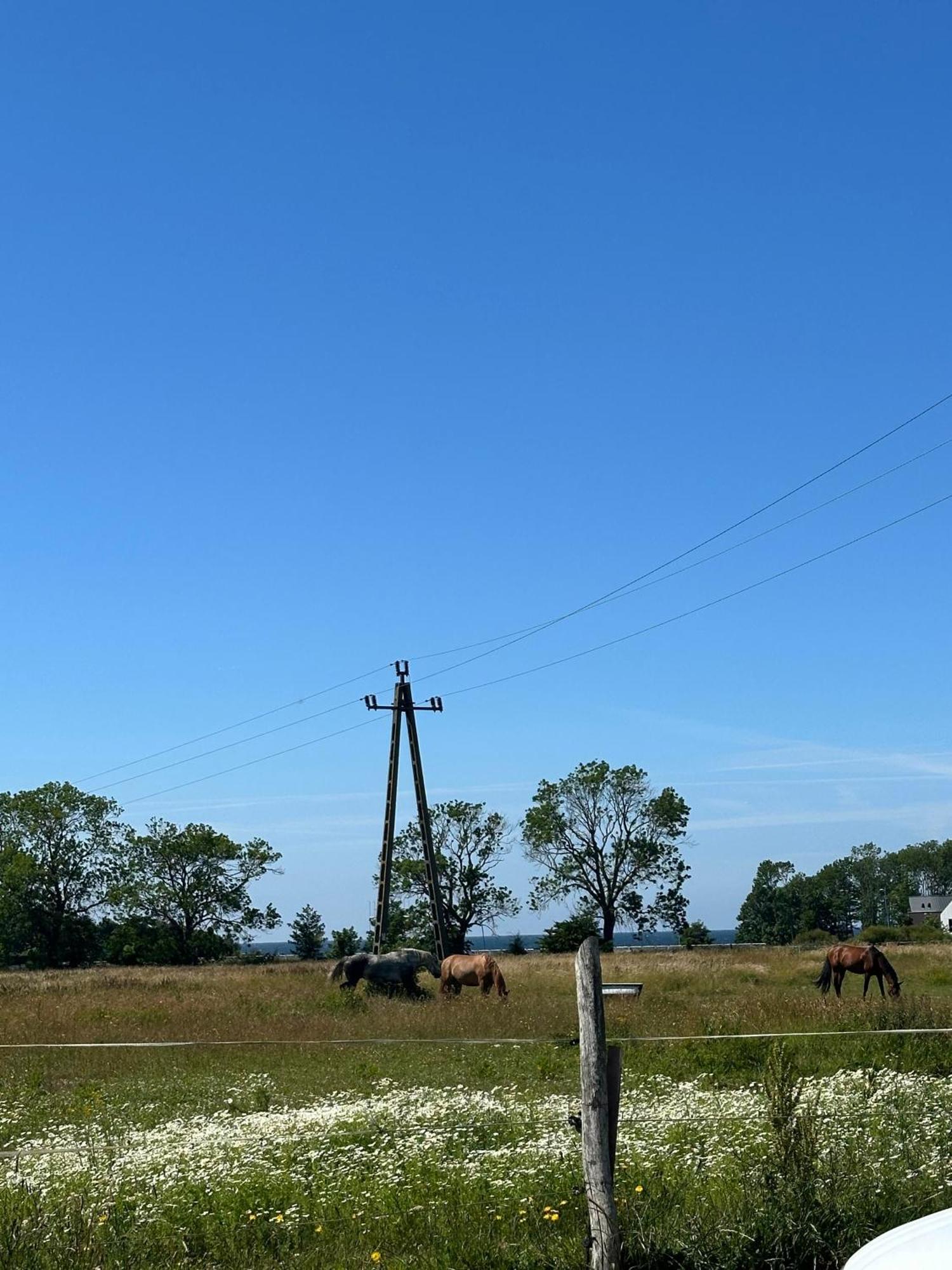 Domki Aurora Klimatyzowane, Z Podgrzewanym Basenem I Zjezdzalnia Wodna Rewal Luaran gambar